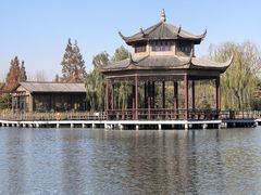 -溱湖国家湿地公园