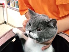 -宠物家(角门东店)