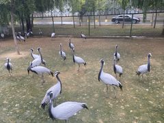 -秦皇岛野生动物园