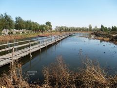 -白渔泡湿地公园