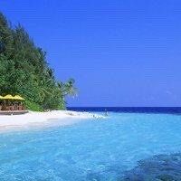 -薇兰专业脱毛连锁机构