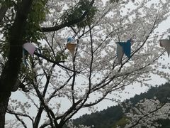 -龙寺生态园
