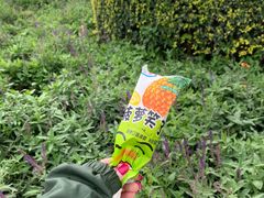 -山里屯铁锅炖·东北菜(康桥店)