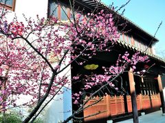 -相门城墙文化休闲景区