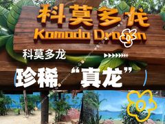 -广州长隆野生动物世界