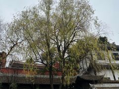 -白帝城·瞿塘峡景区