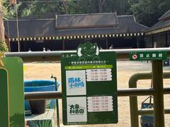 -野象谷景区