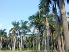 -南宁花花大世界景区