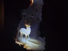 -深圳珠宝博物馆