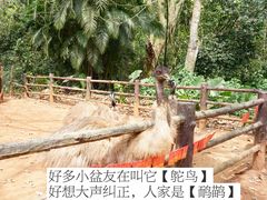 -海南热带野生动植物园