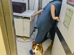 -爱妮康宠物医院·干细胞免疫细胞·肿瘤·心脏(张江店)