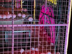 -SOS酒吧(盘胥路店)