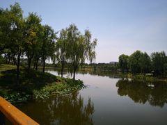 -东郊湿地公园
