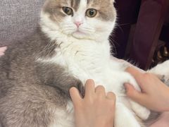 -瑞鹏宠物医院·宠保定点·心脏科·内科(御桥分院)