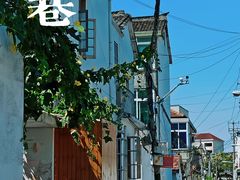 -三林塘老街