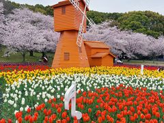 -苏州上方山国家森林公园