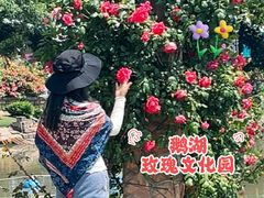 -鹅湖玫瑰文化园