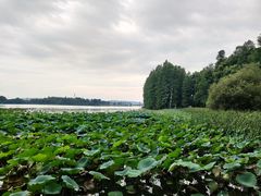 -东湖落雁景区