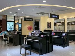 -知音艺术教育培训·钢琴培训·音乐培训(河西金鹰世界校区)