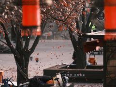 -西安城墙·碑林历史文化景区