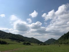 -关山草原