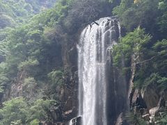 -陕西省红河谷森林公园