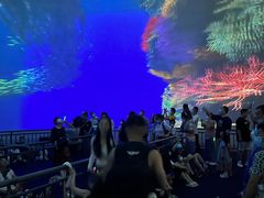 -烟台海昌鲸鲨海洋公园