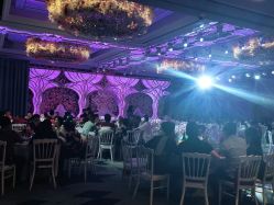 -曼格纳婚礼艺术中心(张江店)