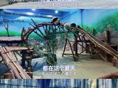 -成都大熊猫繁育研究基地