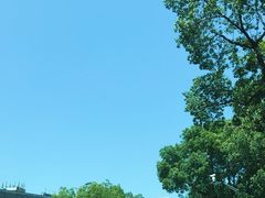 -大润发(康桥店)