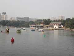 -紫竹院公园冰场