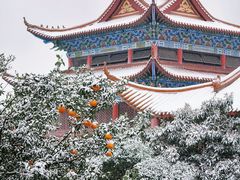 -开福禅寺