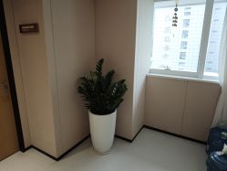 -广东韩妃整形外科医院