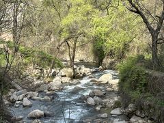 -秦岭终南山世界地质公园翠华山景区