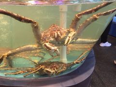 -王庄阿咪海鲜大排档(象园店)