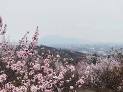 -白水寺森林公园
