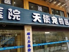-瑞派天使宠物医院·神经外科·骨科·核磁(洛川中路店)