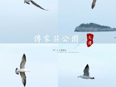 -傅家庄公园
