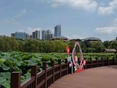 -西海子公园