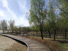 -东郊湿地公园
