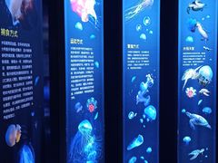 -青岛海底世界-水族馆