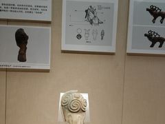 -张掖市博物馆