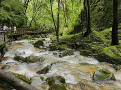 -牛背梁国家森林公园