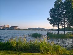 -高子水居