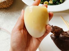 -食家鸽园