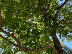 -北京西山国家森林公园