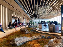 -Seesaw Coffee(朝阳大悦城店)