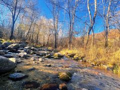 -玉渡山自然风景区