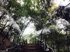 -石燕湖生态旅游景区