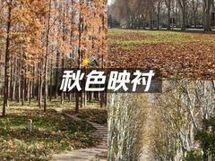 -河南省黄河迎宾馆